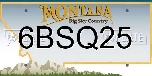 6BSQ25 Montana License Plate