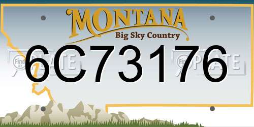 6C73176 Montana License Plate