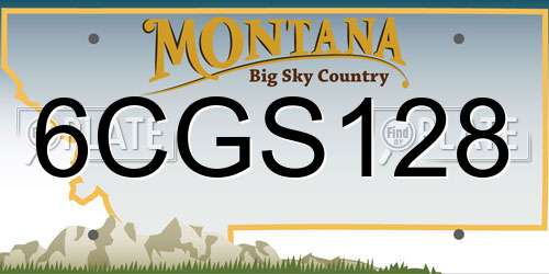 6CGS128 Montana License Plate