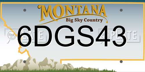 6DGS43 Montana License Plate