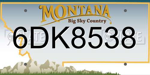 6DK8538 Montana License Plate