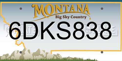 6DKS838 Montana License Plate