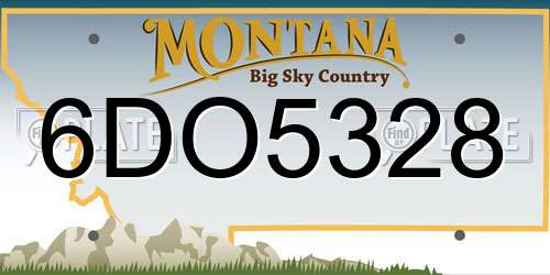 6DO5328 Montana License Plate