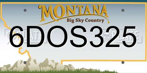 6DOS325 Montana License Plate