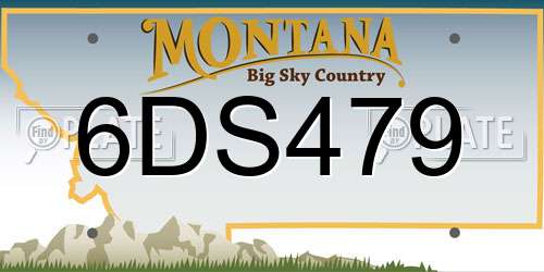 6DS479 Montana License Plate