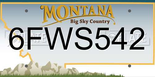 6FWS542 Montana License Plate