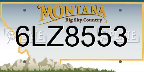 6LZ8553 Montana License Plate