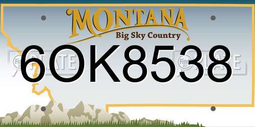 6OK8538 Montana License Plate