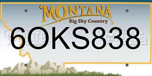 6OKS838 Montana License Plate