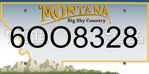 6OO8328 Montana License Plate