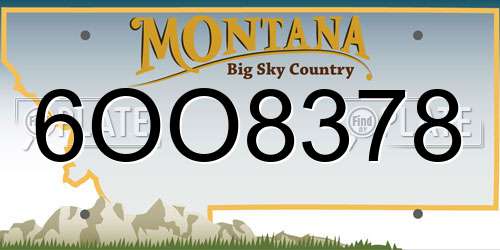 6OO8378 Montana License Plate