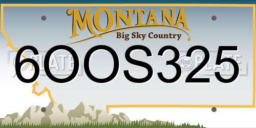 6OOS325 Montana License Plate