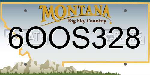 6OOS328 Montana License Plate