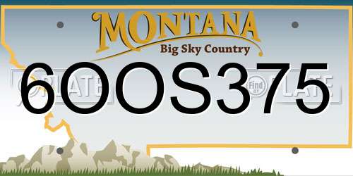 6OOS375 Montana License Plate
