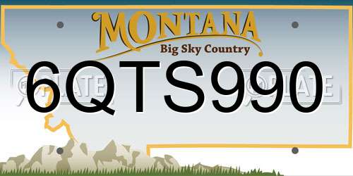 6QTS990 Montana License Plate