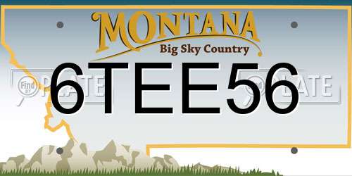 6TEE56 Montana License Plate