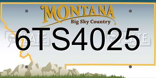 6TS4025 Montana License Plate