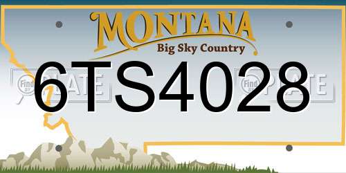 6TS4028 Montana License Plate