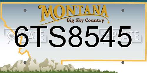 6TS8545 Montana License Plate