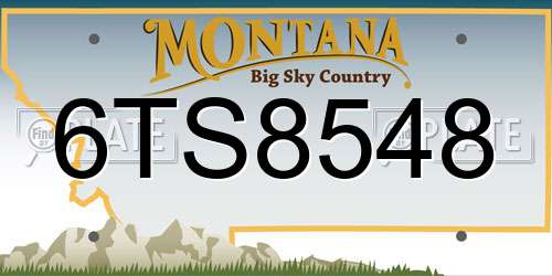 6TS8548 Montana License Plate