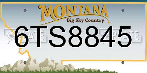 6TS8845 Montana License Plate