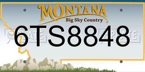 6TS8848 Montana License Plate