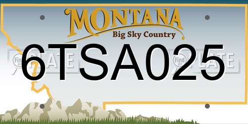 6TSA025 Montana License Plate