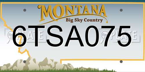 6TSA075 Montana License Plate