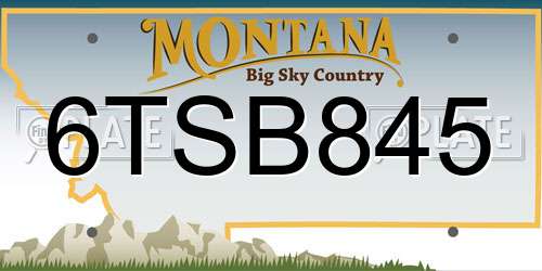 6TSB845 Montana License Plate