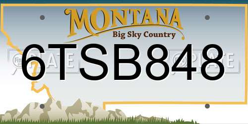 6TSB848 Montana License Plate