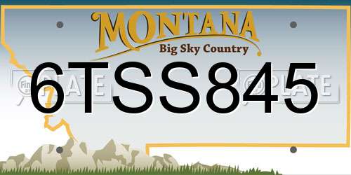6TSS845 Montana License Plate