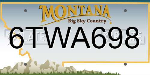 6TWA698 Montana License Plate