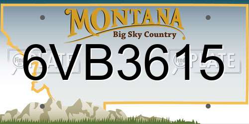 6VB3615 Montana License Plate