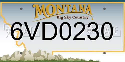 6VD0230 Montana License Plate