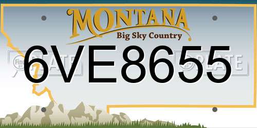 6VE8655 Montana License Plate