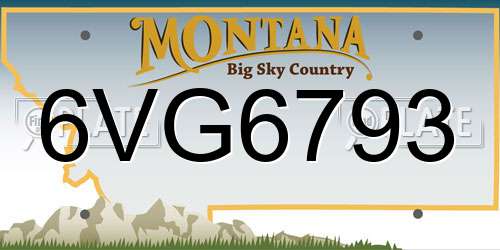 6VG6793 Montana License Plate
