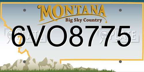 6VO8775 Montana License Plate