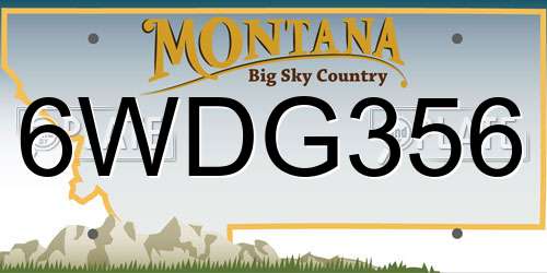 6WDG356 Montana License Plate