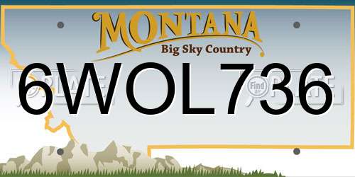 6WOL736 Montana License Plate