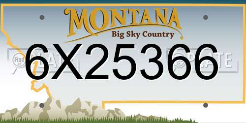 6X25366 Montana License Plate