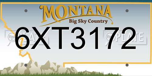 6XT3172 Montana License Plate