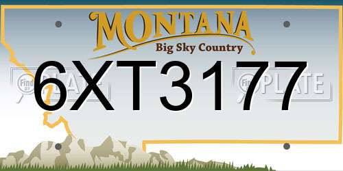 6XT3177 Montana License Plate