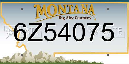 6Z54075 Montana License Plate