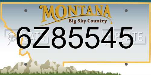 6Z85545 Montana License Plate