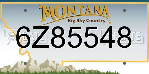 6Z85548 Montana License Plate