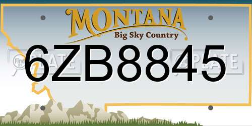 6ZB8845 Montana License Plate