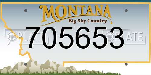 705653 Montana License Plate