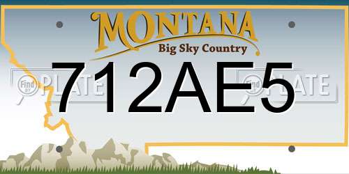 712AE5 Montana License Plate