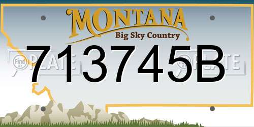 713745B Montana License Plate