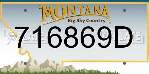 716869D Montana License Plate